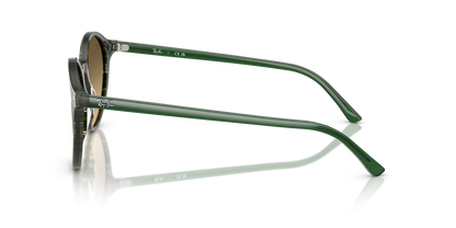 RAY-BAN RB2230 BERNARD 14210A 53