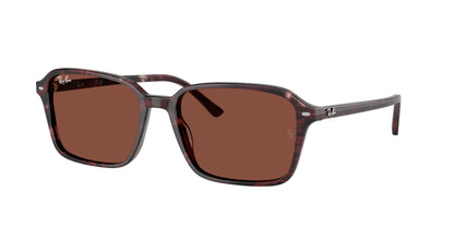 RAY-BAN RB2231 RAIMOND 1416C5 58