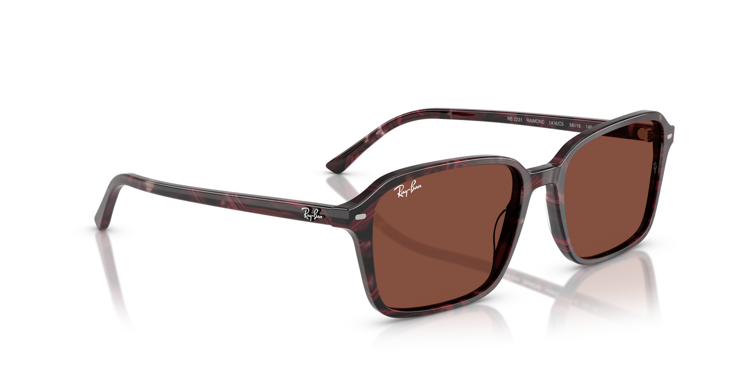 RAY-BAN RB2231 RAIMOND 1416C5 58