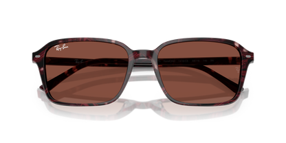 RAY-BAN RB2231 RAIMOND 1416C5 58