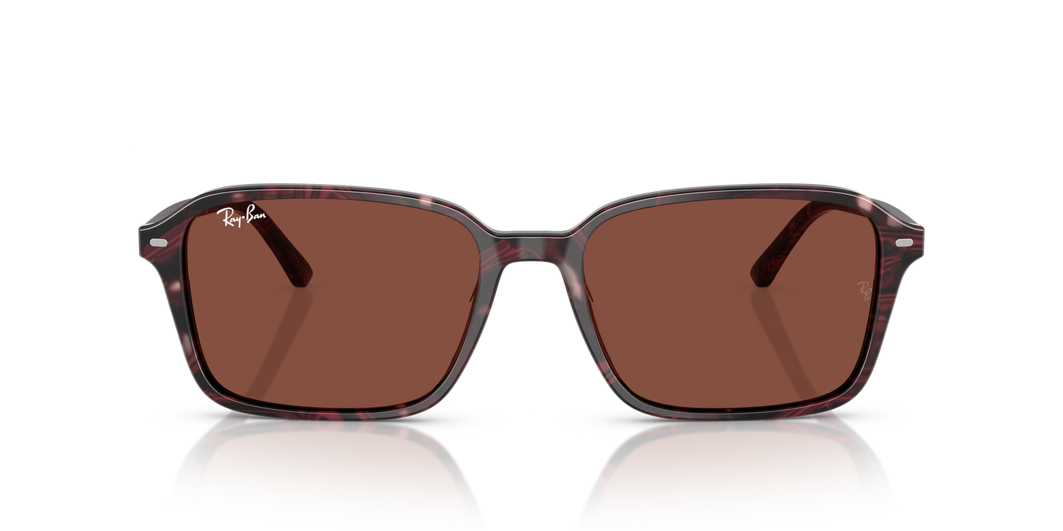 RAY-BAN RB2231 RAIMOND 1416C5 58