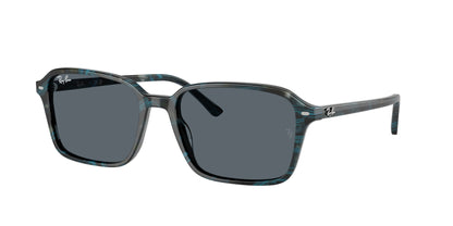 RAY-BAN RB2231 RAIMOND 1417R5 56