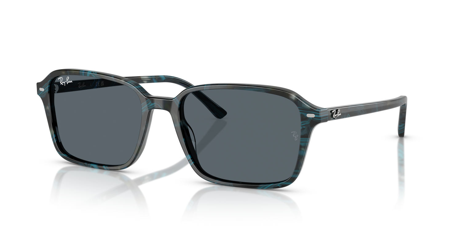 RAY-BAN RB2231 RAIMOND 1417R5 58