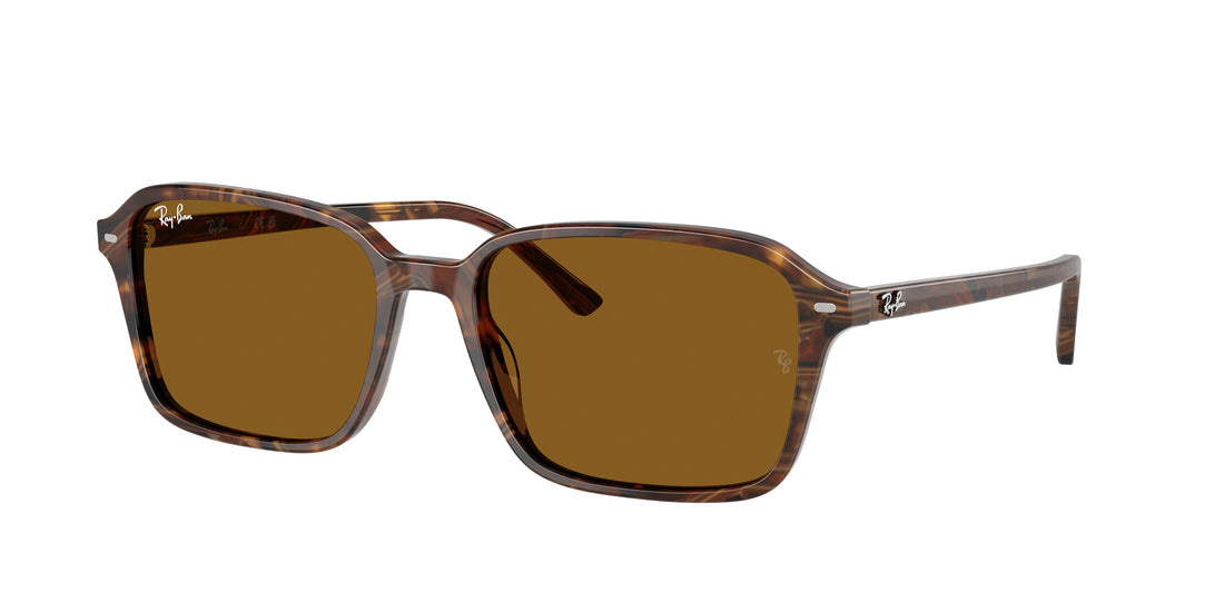 Sonnenbrillen ray-ban rb2231 raimond 141833 multicolor square . größe 58mm - Hauptansicht