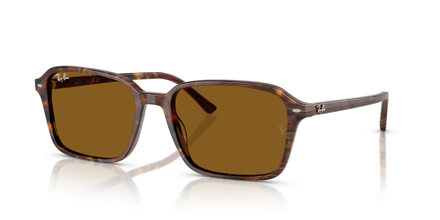 RAY-BAN RB2231 RAIMOND 141833 58