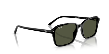 RAY-BAN RB2231 RAIMOND 901/31 58