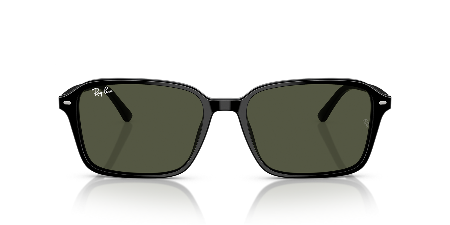 RAY-BAN RB2231 RAIMOND 901/31 56