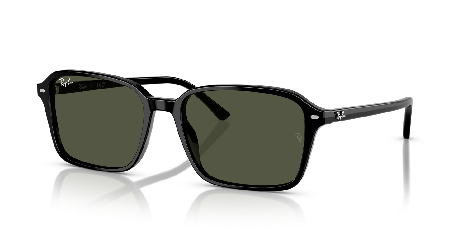RAY-BAN RB2231 RAIMOND 901/31 56