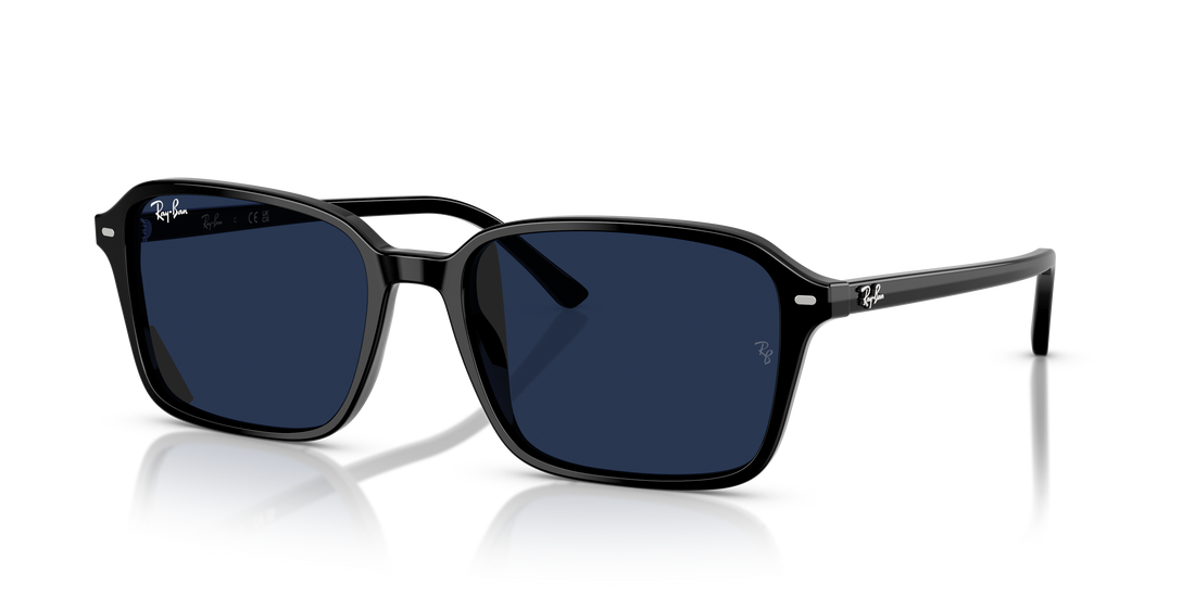 RAY-BAN RB2231 RAIMOND 901/GG 58