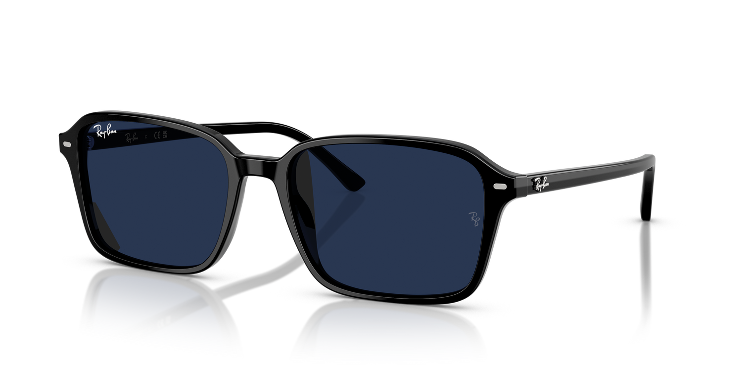 RAY-BAN RB2231 RAIMOND 901/GG 58