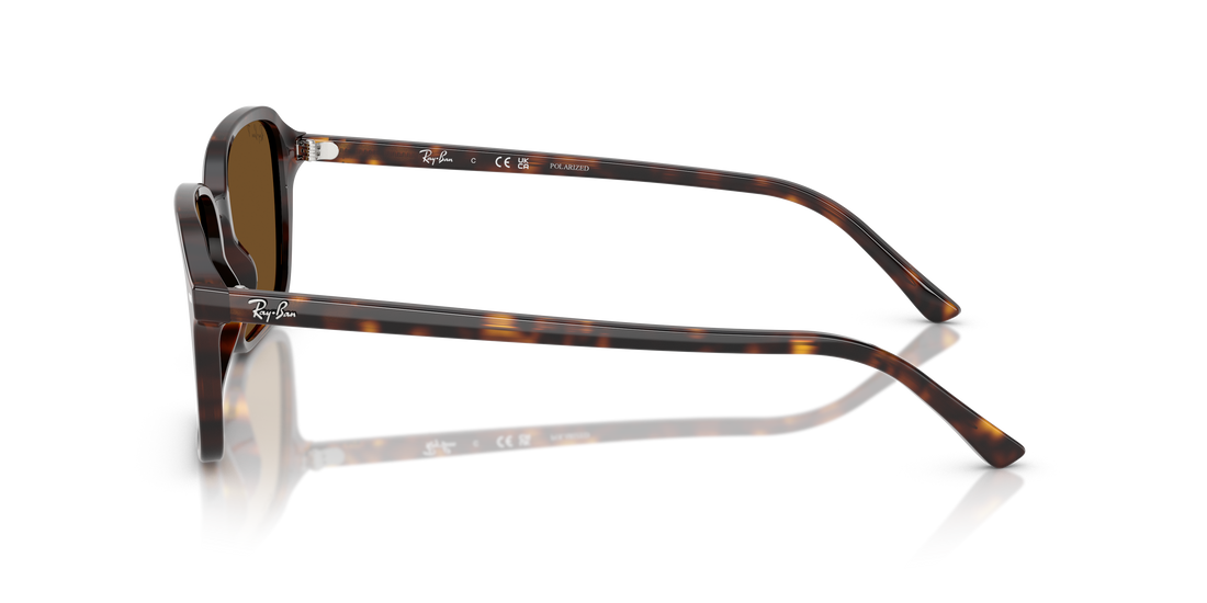 Occhiali da sole ray-ban rb2231 raimond 902/57 carey square . taglia 58mm - Vista dettagliata