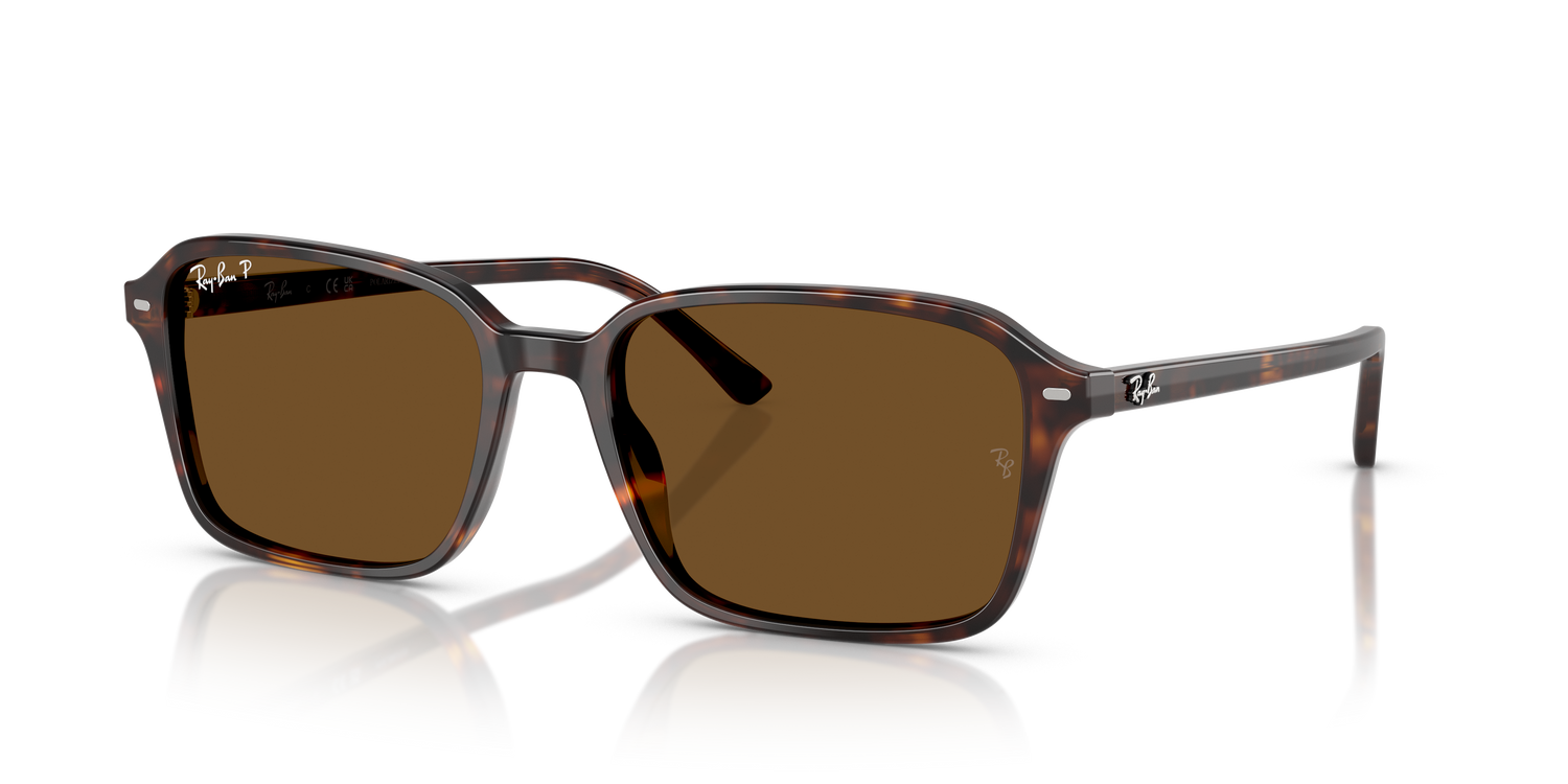 RAY-BAN RB2231 RAIMOND 902/57 58