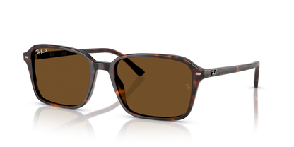 RAY-BAN RB2231 RAIMOND 902/57 58