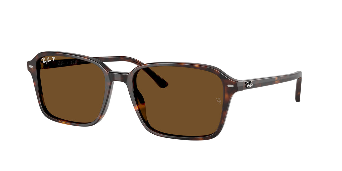 Occhiali da sole ray-ban rb2231 raimond 902/57 carey square . taglia 58mm - Vista principale