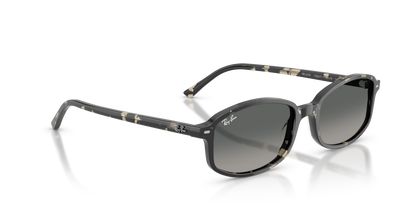 RAY-BAN RB2232 133371 54