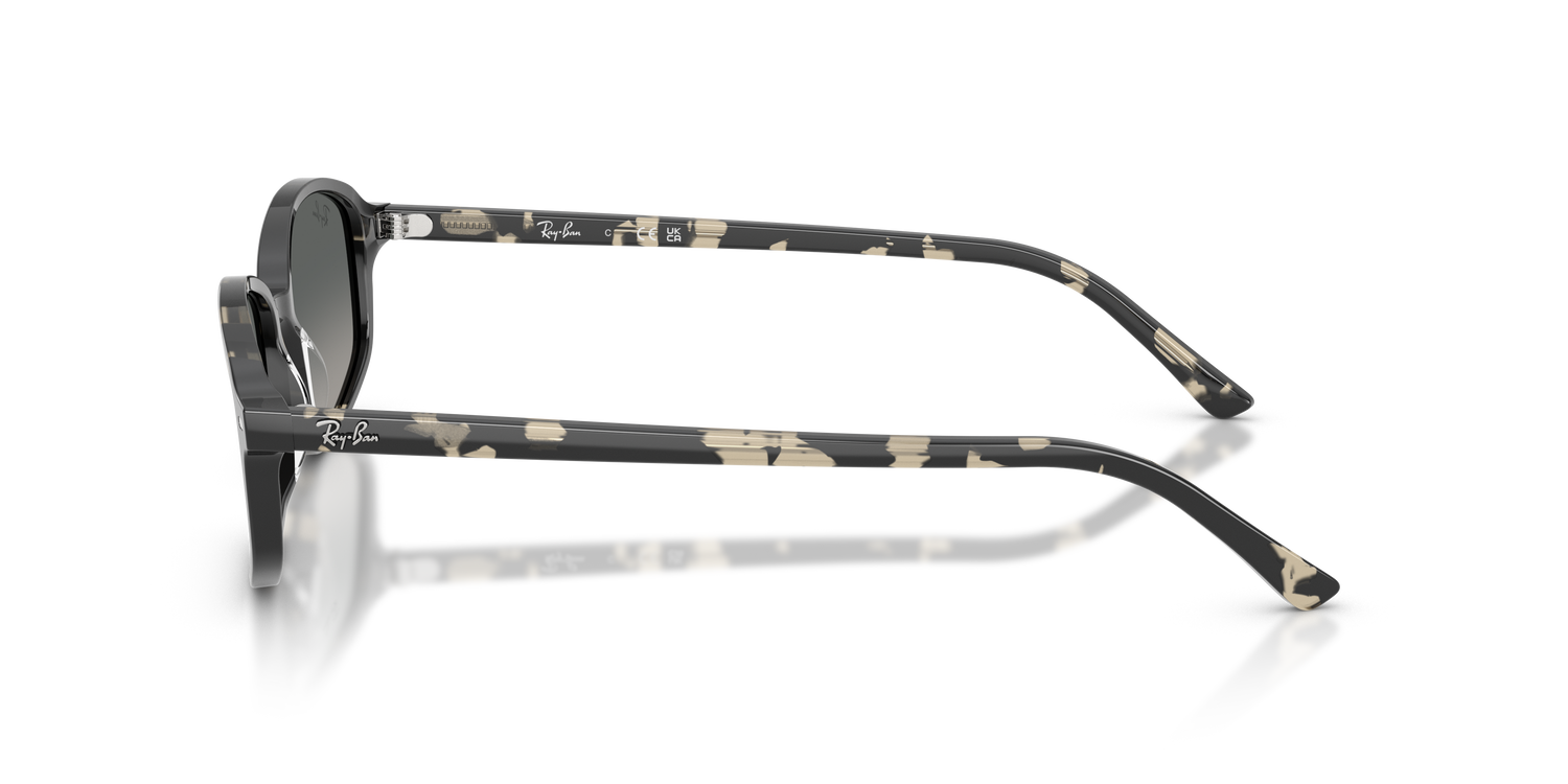 RAY-BAN RB2232 133371 54