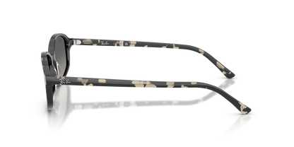 RAY-BAN RB2232 133371 54