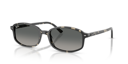 RAY-BAN RB2232 133371 54