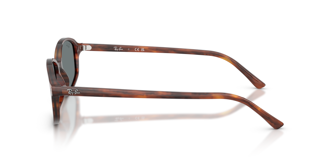 RAY-BAN RB2232 954/62 54