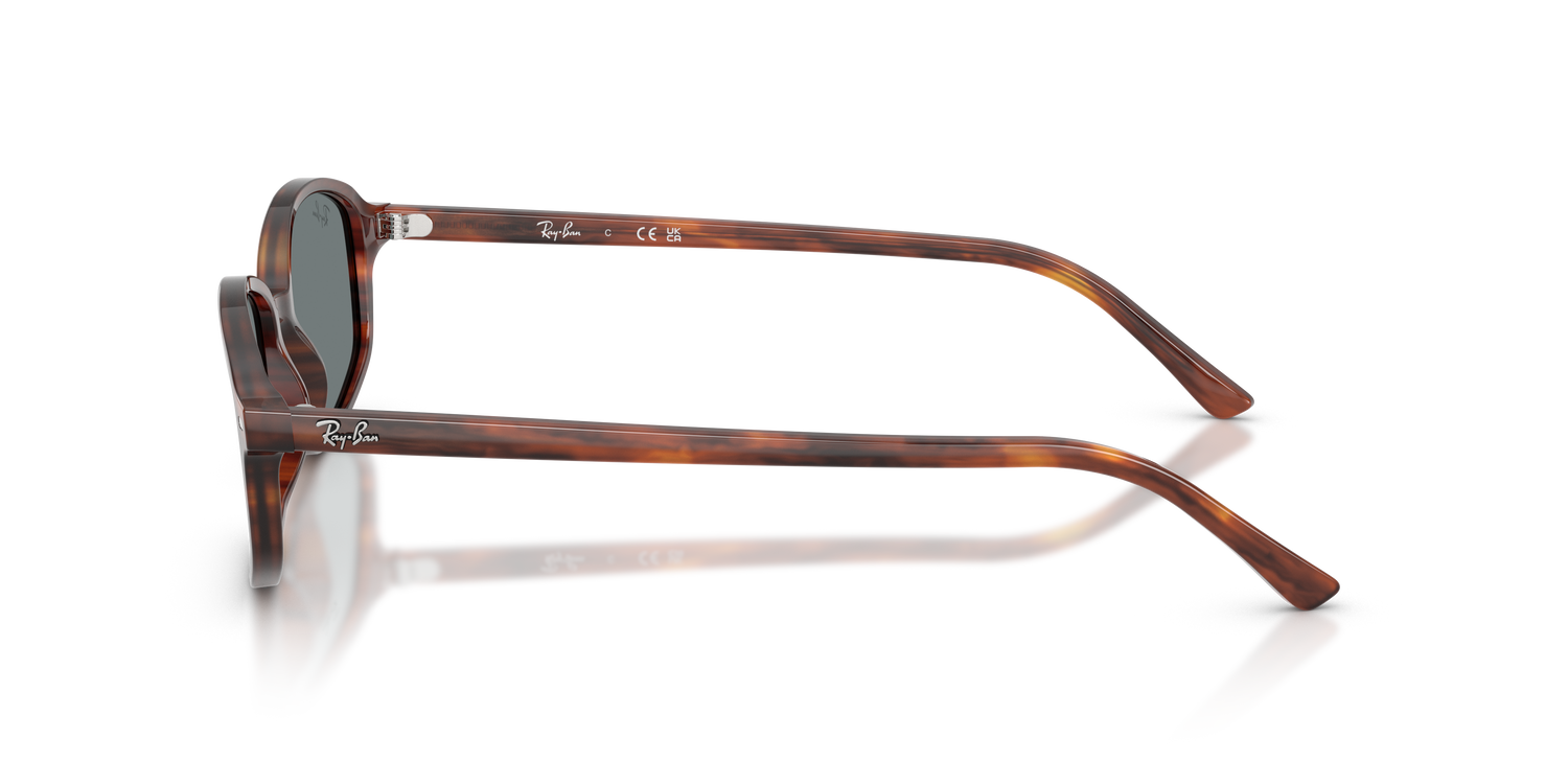 RAY-BAN RB2232 954/62 54