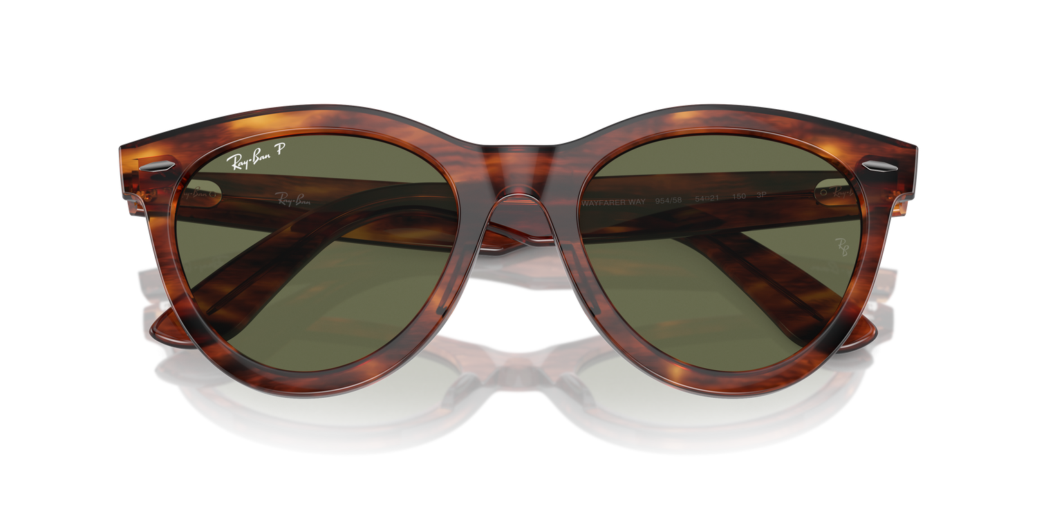RAY-BAN RB2241 WAYFARER WAY 954/58 54