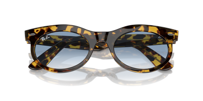 RAY-BAN RB2242 WAYFARER OVAL 13323F 50