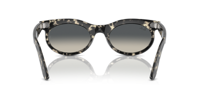 RAY-BAN RB2242 WAYFARER OVAL 133371 53