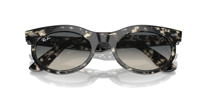 RAY-BAN RB2242 WAYFARER OVAL 133371 53