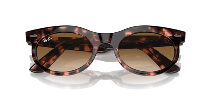 RAY-BAN RB2242 WAYFARER OVAL 133451 50