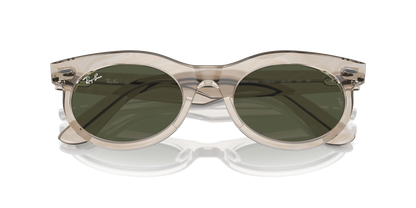 RAY-BAN RB2242 WAYFARER OVAL 138331 53