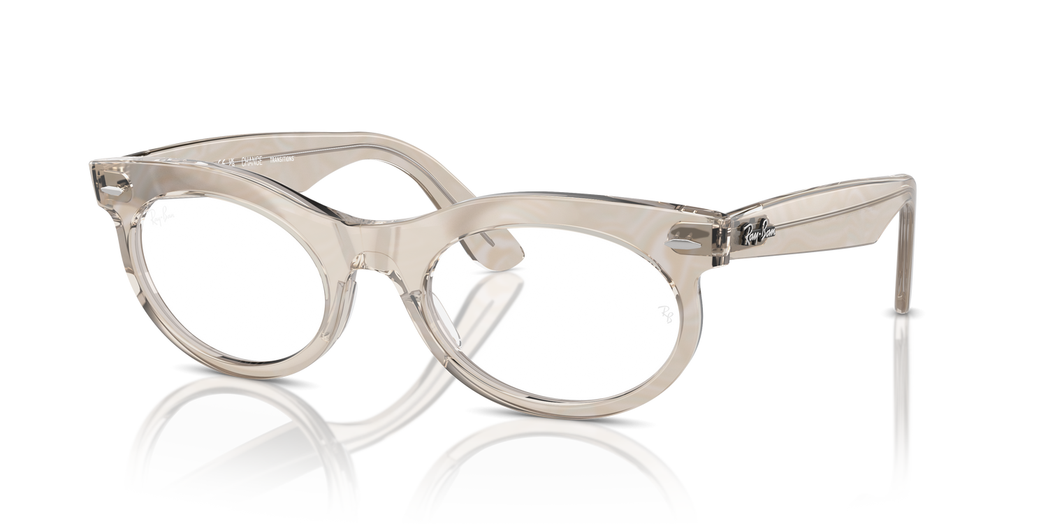 RAY-BAN RB2242 WAYFARER OVAL 1383GG 53