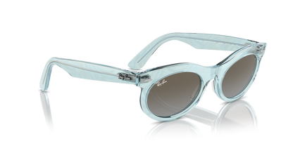 RAY-BAN RB2242 WAYFARER OVAL 138596 53