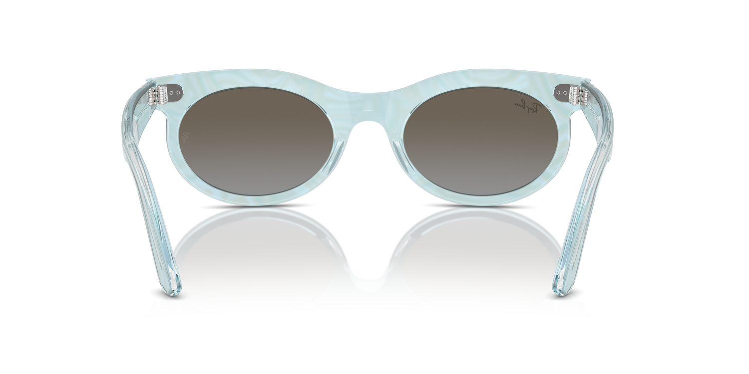 RAY-BAN RB2242 WAYFARER OVAL 138596 53