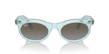 RAY-BAN RB2242 WAYFARER OVAL 138596 53