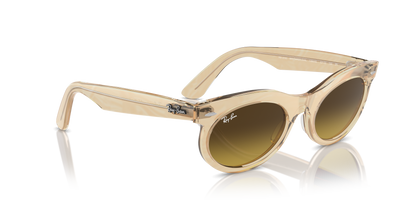 RAY-BAN RB2242 WAYFARER OVAL 138685 53