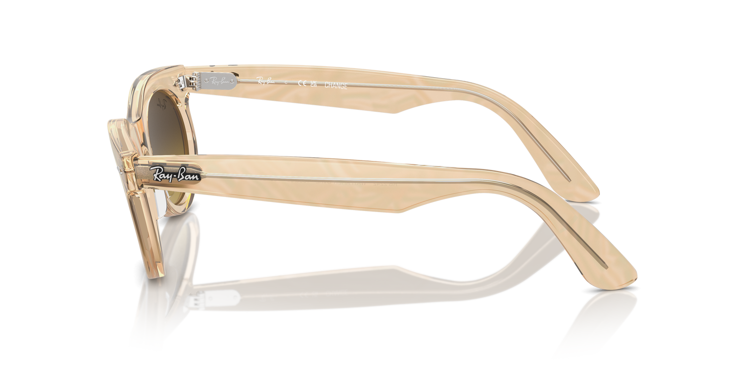 RAY-BAN RB2242 WAYFARER OVAL 138685 53