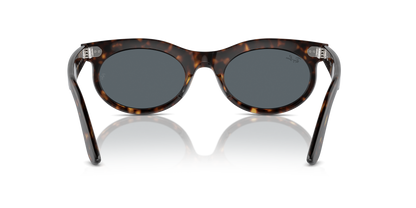 RAY-BAN RB2242 WAYFARER OVAL 902/R5 53