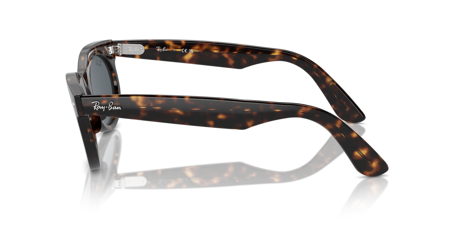 RAY-BAN RB2242 WAYFARER OVAL 902/R5 50