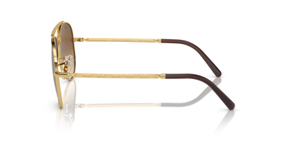 RAY-BAN RB3625 NEW AVIATOR 001/51 62