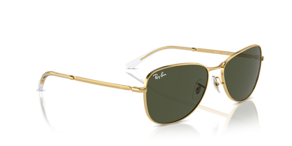 RAY-BAN RB3733 001/31 56