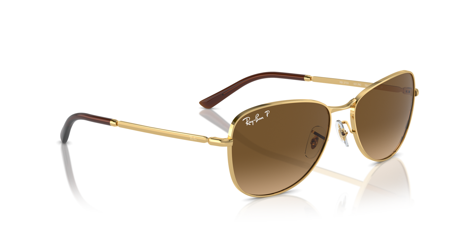 RAY-BAN RB3733 001/M2 56