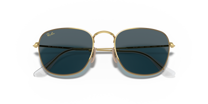 RAY-BAN RB3857 FRANK 9196R5 51