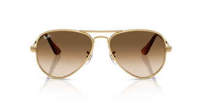 RAY-BAN RB3925 AVIATOR MAX 001/51 58