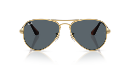 RAY-BAN RB3925 AVIATOR MAX 001/R5 58