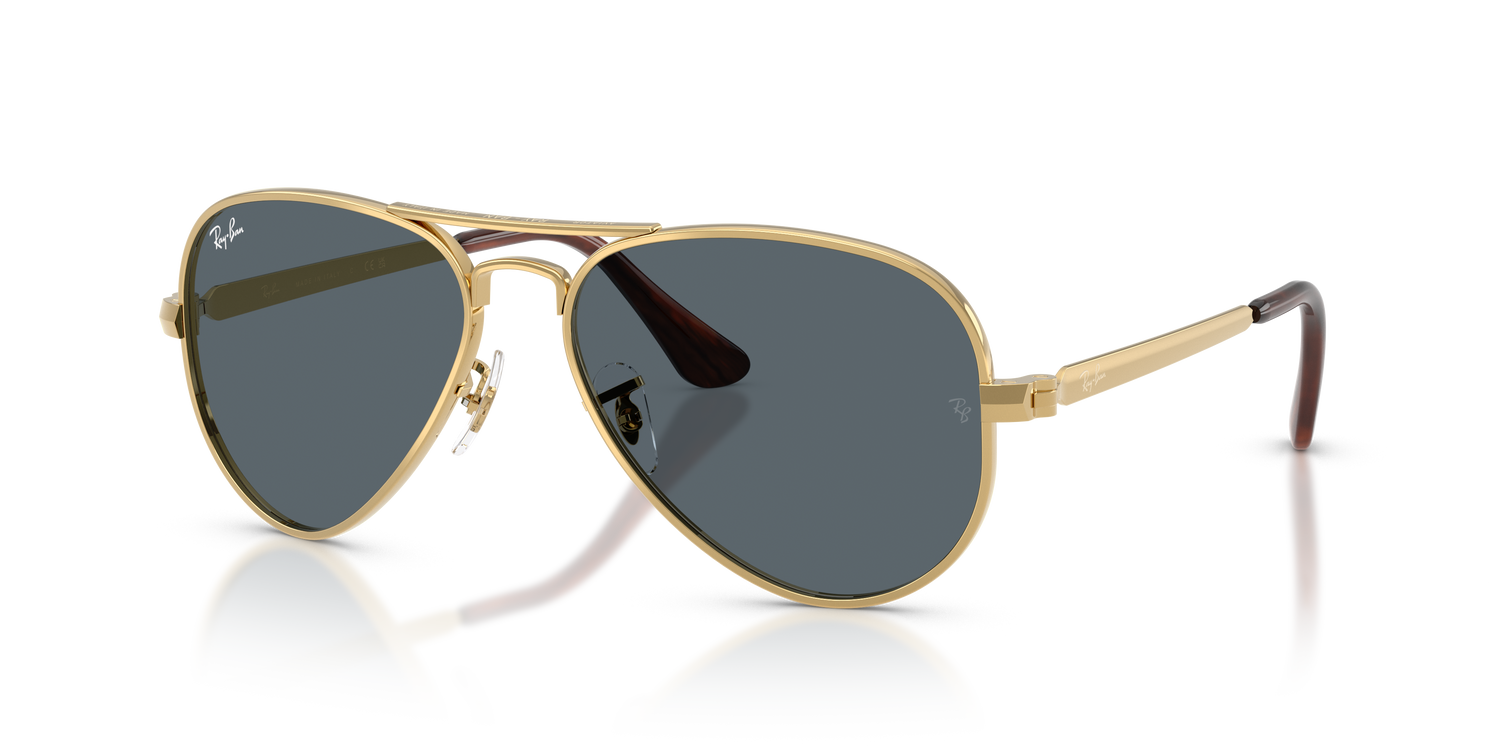 RAY-BAN RB3925 AVIATOR MAX 001/R5 62