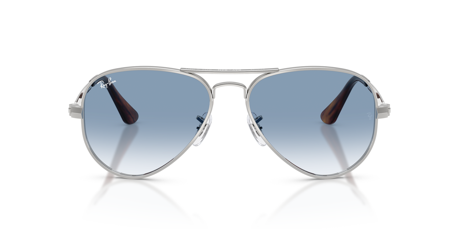 RAY-BAN RB3925 AVIATOR MAX 003/3F 58