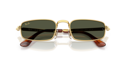 RAY-BAN RB3927 001/31 54