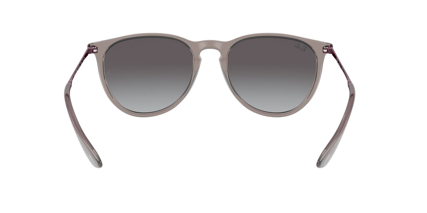 RAY-BAN RB4171 ERIKA 65138G 54