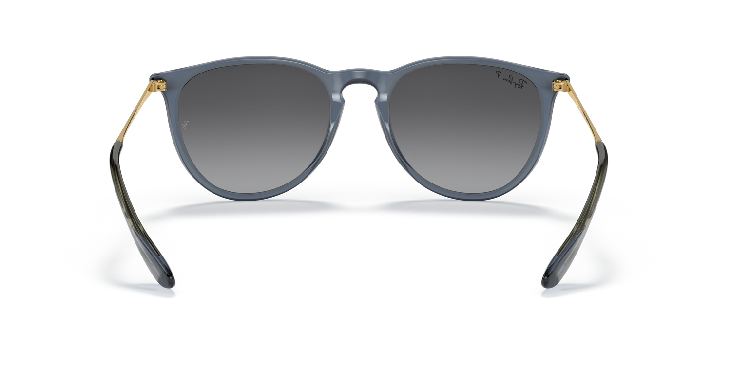 RAY-BAN RB4171 ERIKA 6592T3 54