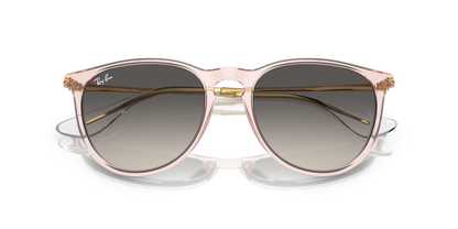 RAY-BAN RB4171 ERIKA 674211 54